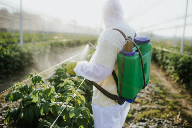 Best Pest Prevention Services  in Greenwood, DE